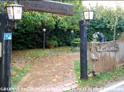Escursione Micologica in loc. Monticiano