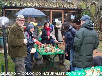 Escursione Micologica in loc. Monticiano