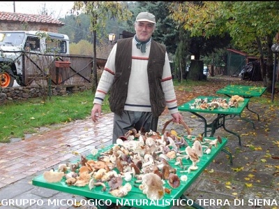Escursione Micologica in loc. Monticiano