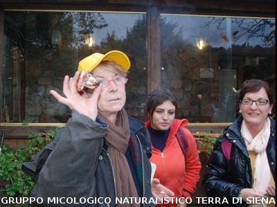 Escursione Micologica in loc. Monticiano