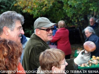 Escursione Micologica in loc. Monticiano