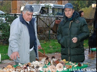 Escursione Micologica in loc. Monticiano