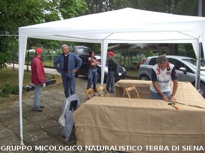 Mostra delle erbe spontanee