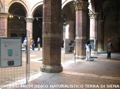 Mostra Poster
