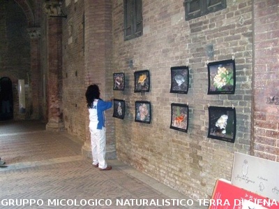 Mostra Poster