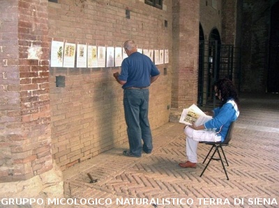 Mostra Poster