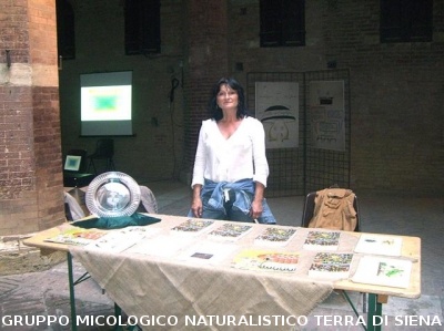 Mostra Poster