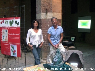 Mostra Poster