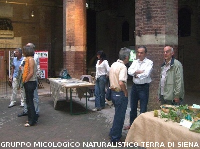 Mostra Poster