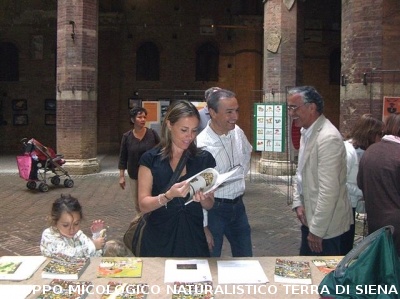 Mostra Poster