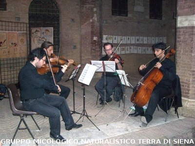 Mostra Poster