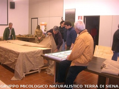 XII^ Mostra Micologica Senese