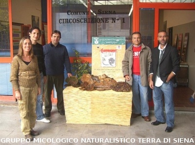 XII^ Mostra Micologica Senese