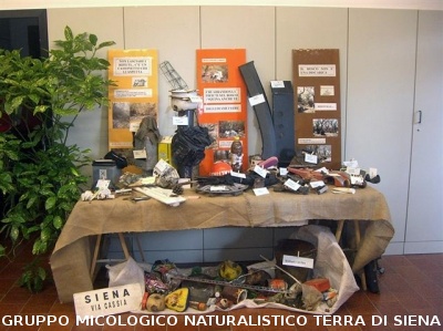 XII^ Mostra Micologica Senese
