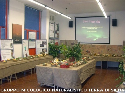 XII^ Mostra Micologica Senese