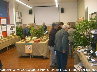 XII^ Mostra Micologica Senese