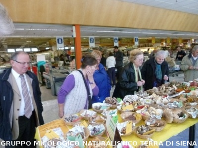 Mostra Micologica presso il Supermercato UNICOOP