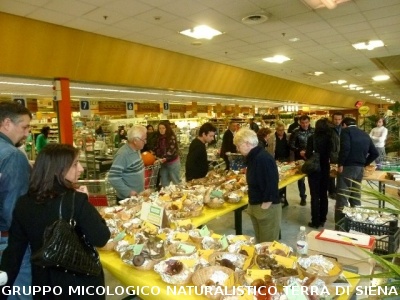 Mostra Micologica presso il Supermercato UNICOOP