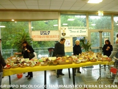 Mostra Micologica presso il Supermercato UNICOOP