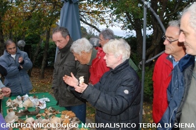 Fasi della determinazione
