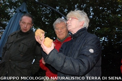Fasi della determinazione