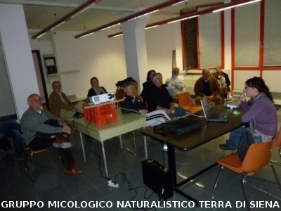Corso aggiornamento sulle Tricholomataceae