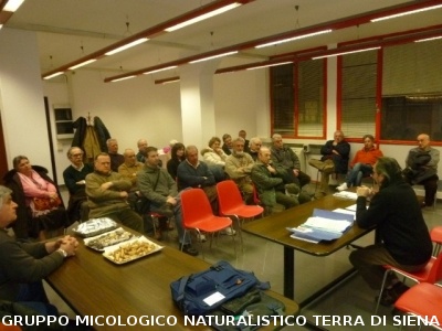Assemblea Generale