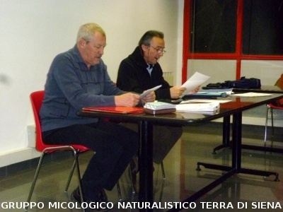 Assemblea Generale