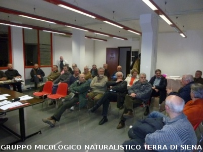 Assemblea Generale