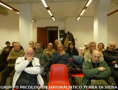 Assemblea Generale