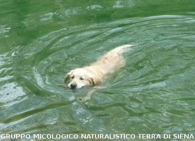 Escursione a Castiglion che Dio sol sà