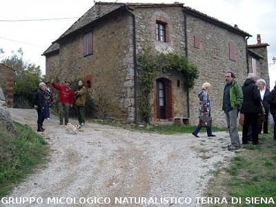 Escursione micologica senza funghi