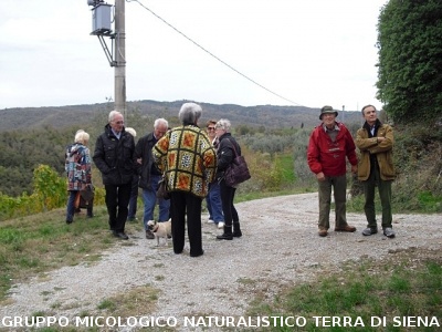 Escursione micologica senza funghi