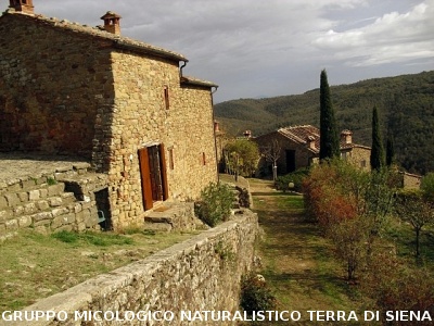 Escursione micologica senza funghi