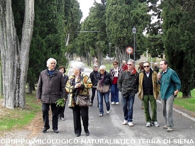 Escursione micologica senza funghi