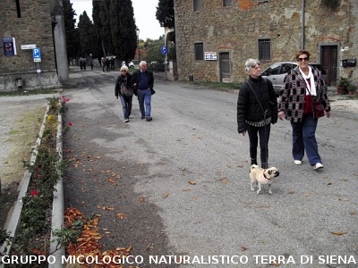 Escursione micologica senza funghi