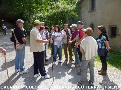 Escursione alla sorgente dell'Ermicciolo