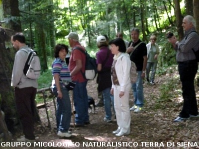 Escursione alla sorgente dell'Ermicciolo