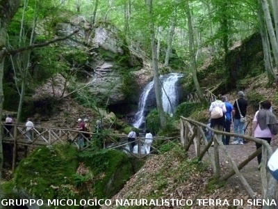 Escursione alla sorgente dell'Ermicciolo