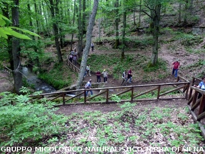 Escursione alla sorgente dell'Ermicciolo
