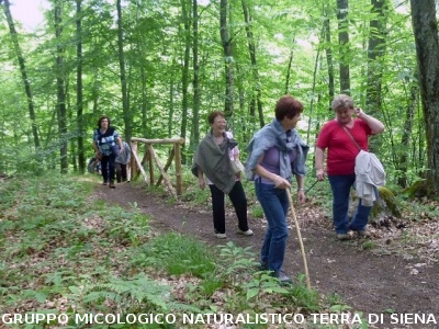 Escursione alla sorgente dell'Ermicciolo