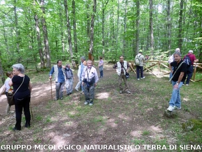 Escursione alla sorgente dell'Ermicciolo