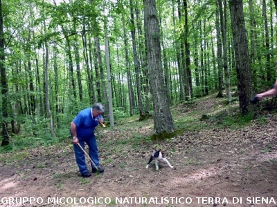 Escursione alla sorgente dell'Ermicciolo