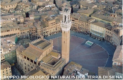 La Torre del Mangia