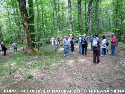 Escursione alla sorgente dell'Ermicciolo