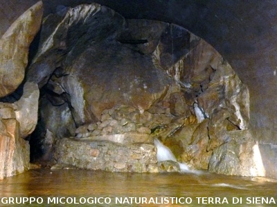 Escursione alla sorgente dell'Ermicciolo