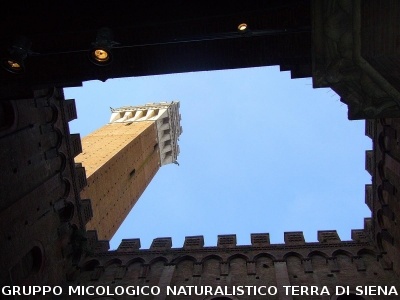 La Torre vista dal Cortile del Podesta