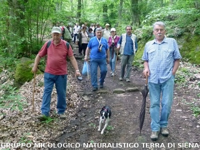 Escursione alla sorgente dell'Ermicciolo