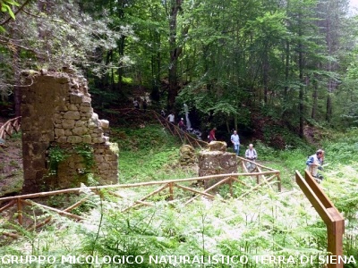 Escursione alla sorgente dell'Ermicciolo