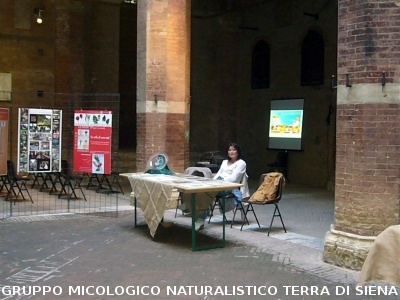 Mostra Poster